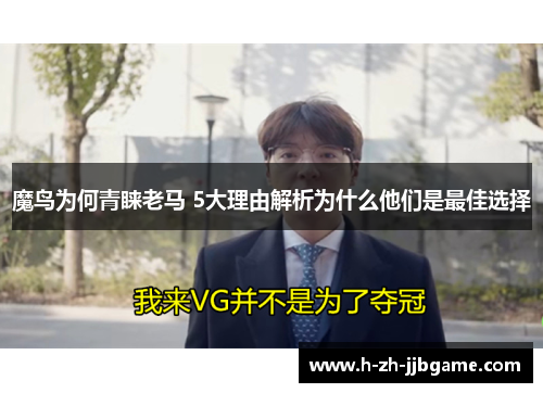 魔鸟为何青睐老马 5大理由解析为什么他们是最佳选择